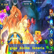 giga bicho loteria dos sonhos